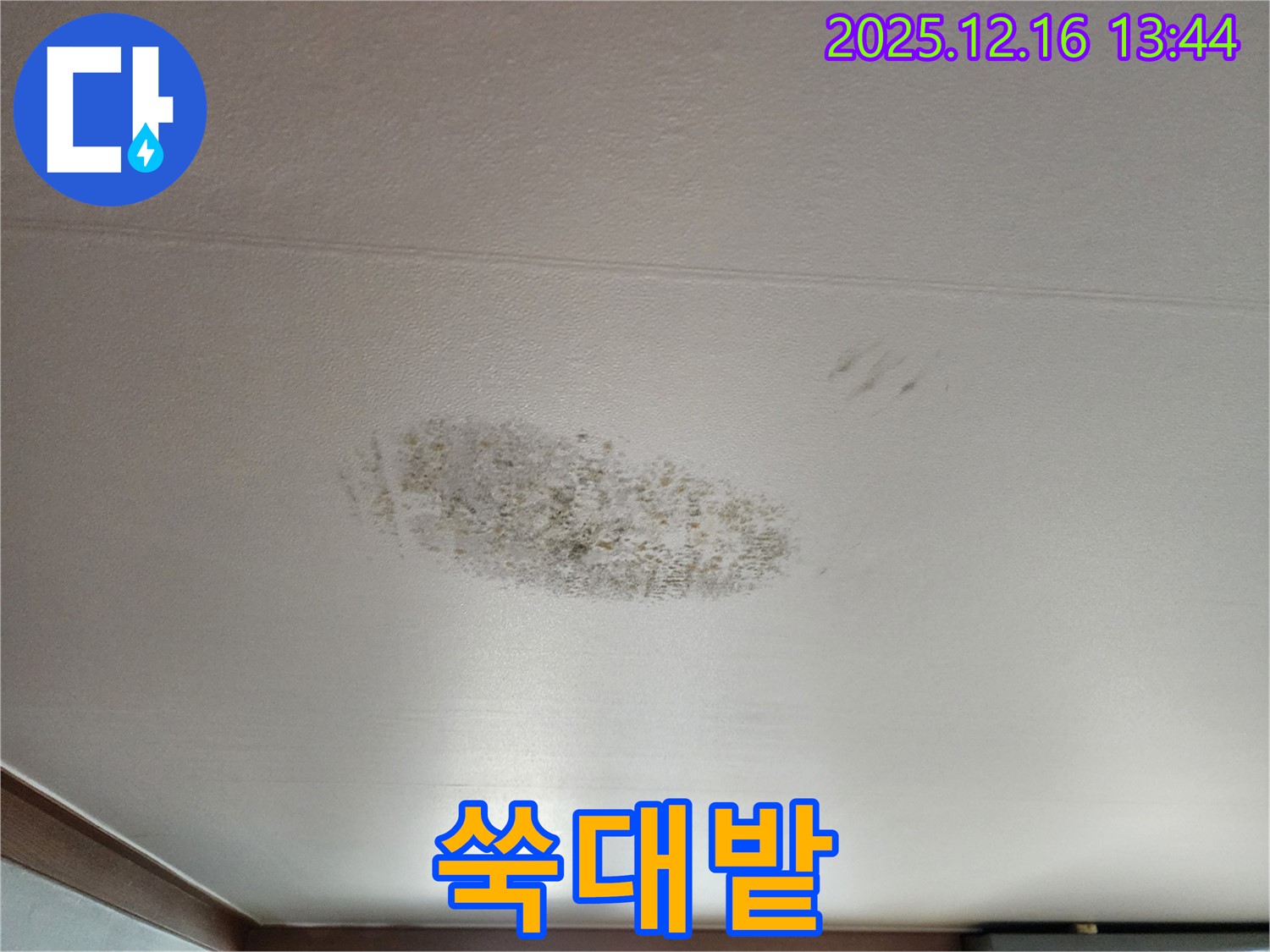 포천 소홀리 누수 - 곰팡이 쑥대밭 - 복구 작전