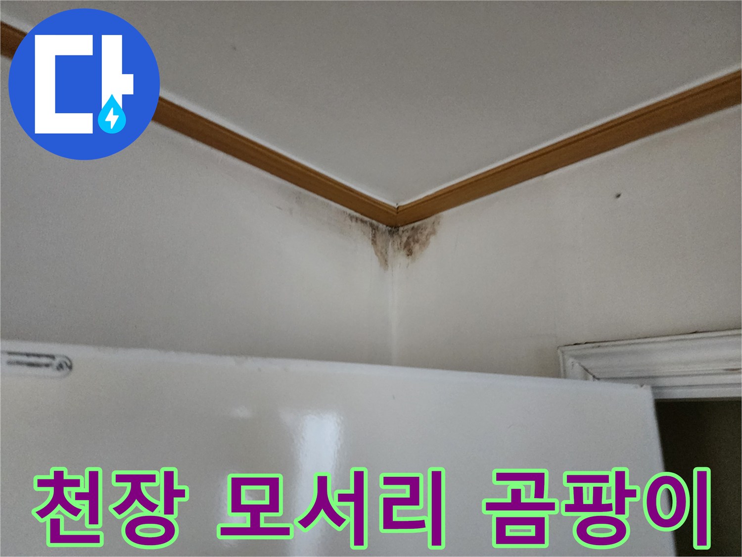 벽면 모서리에 발생한 검은 곰팡이 흔적