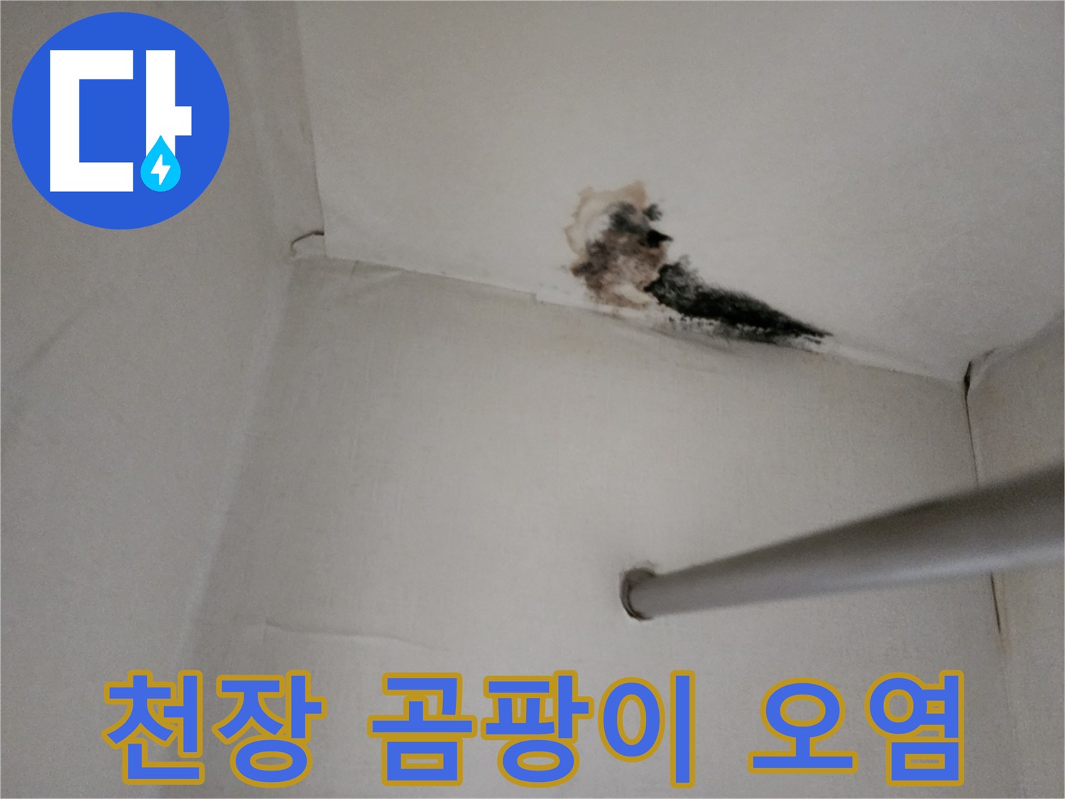 천장 모서리 부분의 검은 곰팡이와 습기 침투 흔적