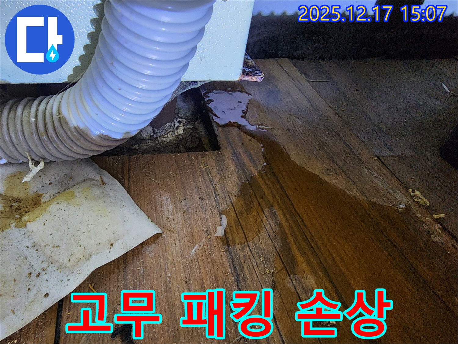 세탁기 문 고무 패킹이 찢어져 있습니다 - 찢어진 패킹 틈새로 물이 샐 수 있습니다.