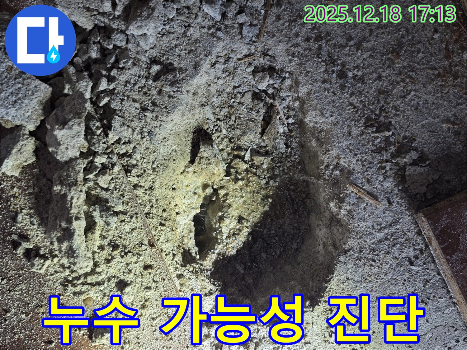 가능성 진단 - 꼼꼼하게