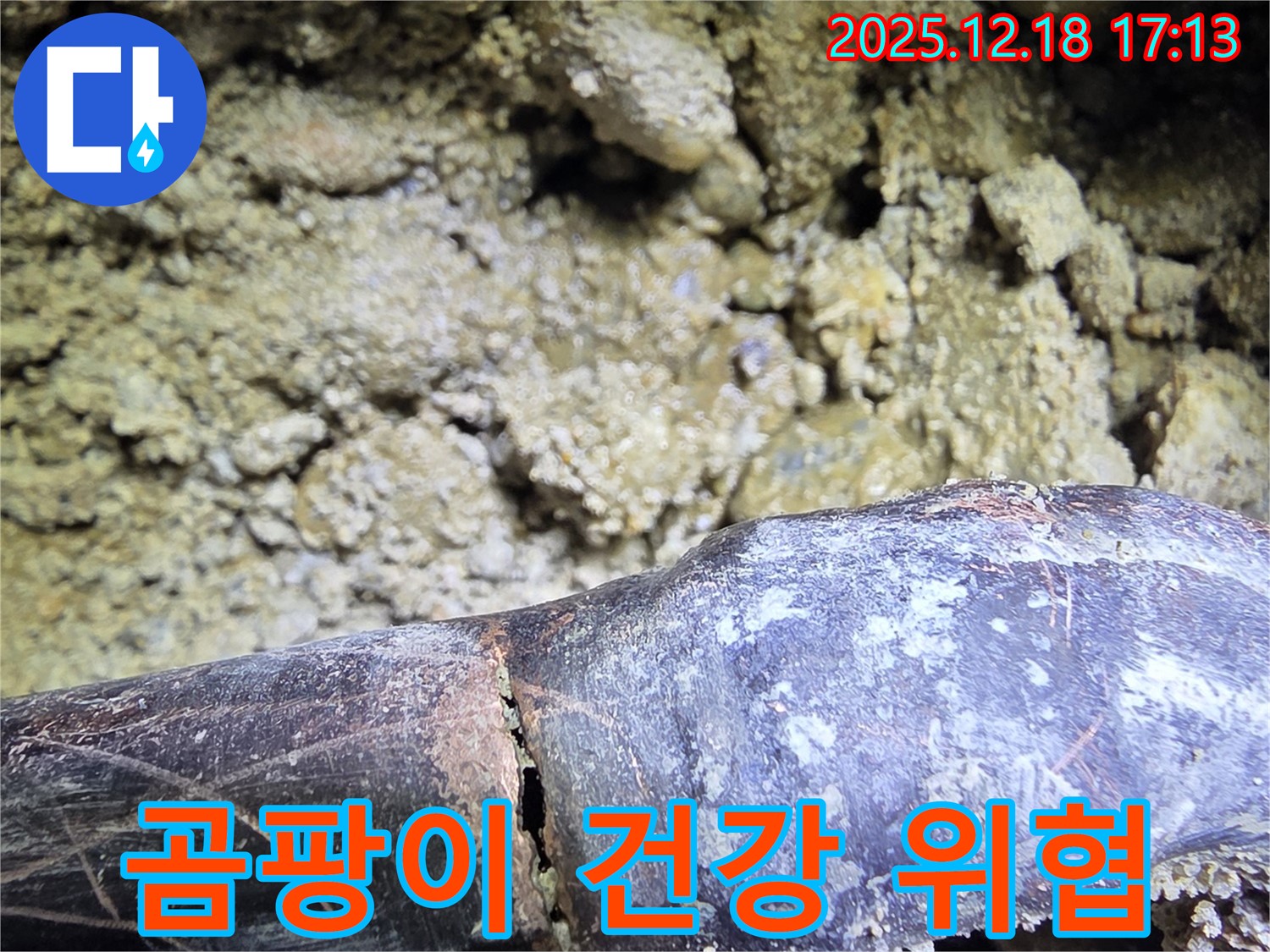 곰팡이 천국 - 시흥 신천동 누수탐지 전문