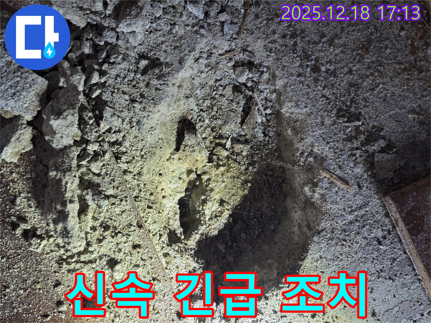 긴급 조치 - 신속하게
