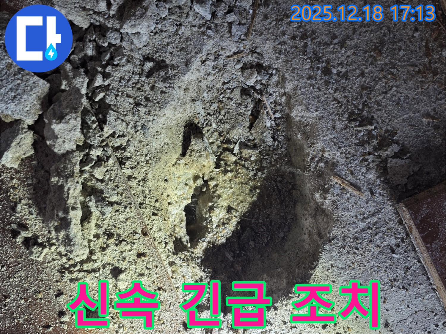 긴급 조치 - 신속하게