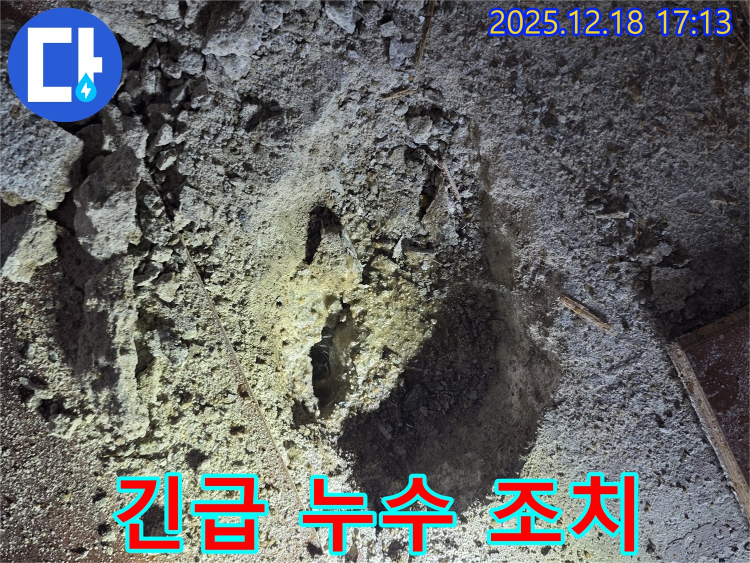 긴급 조치 - 신속하게