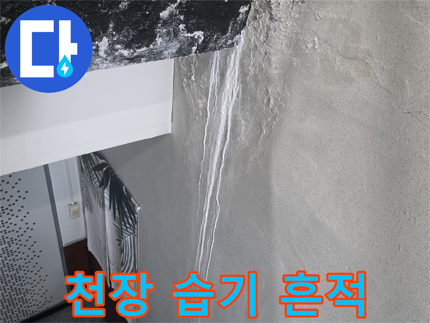습기로 인해 변색된 천장 마감재 부위