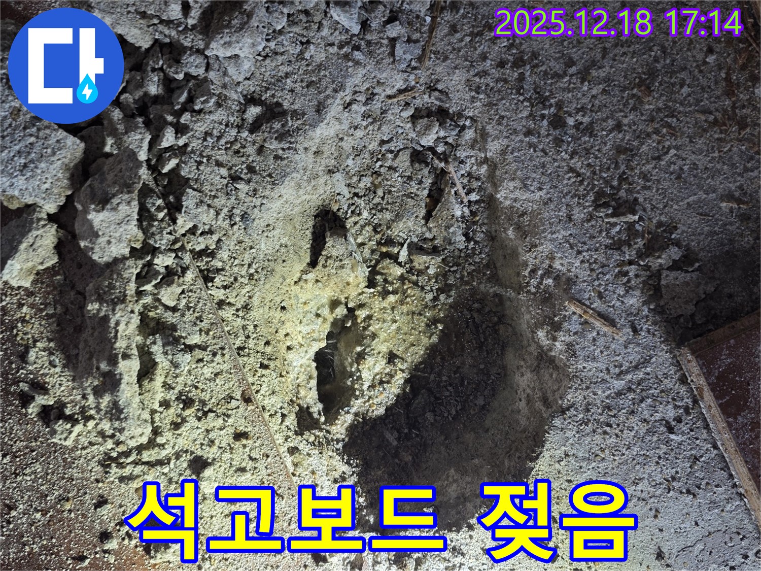 시흥 신천동 누수 - 천장 속 구멍 주변, 석고보드 젖음 - 누수 진행 중