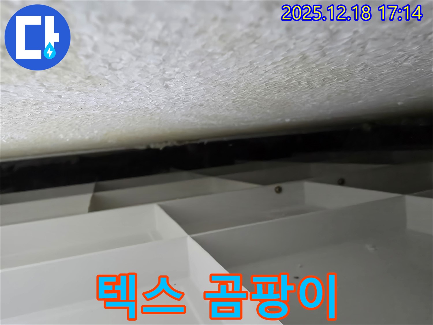 시흥 신천동 누수 - 천장 텍스에 핀 곰팡이