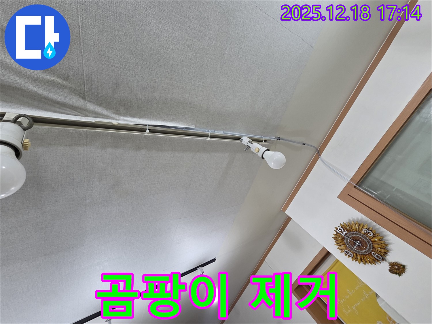 신천동 누수 - 천장 누수, 곰팡이 완벽 제거 약속