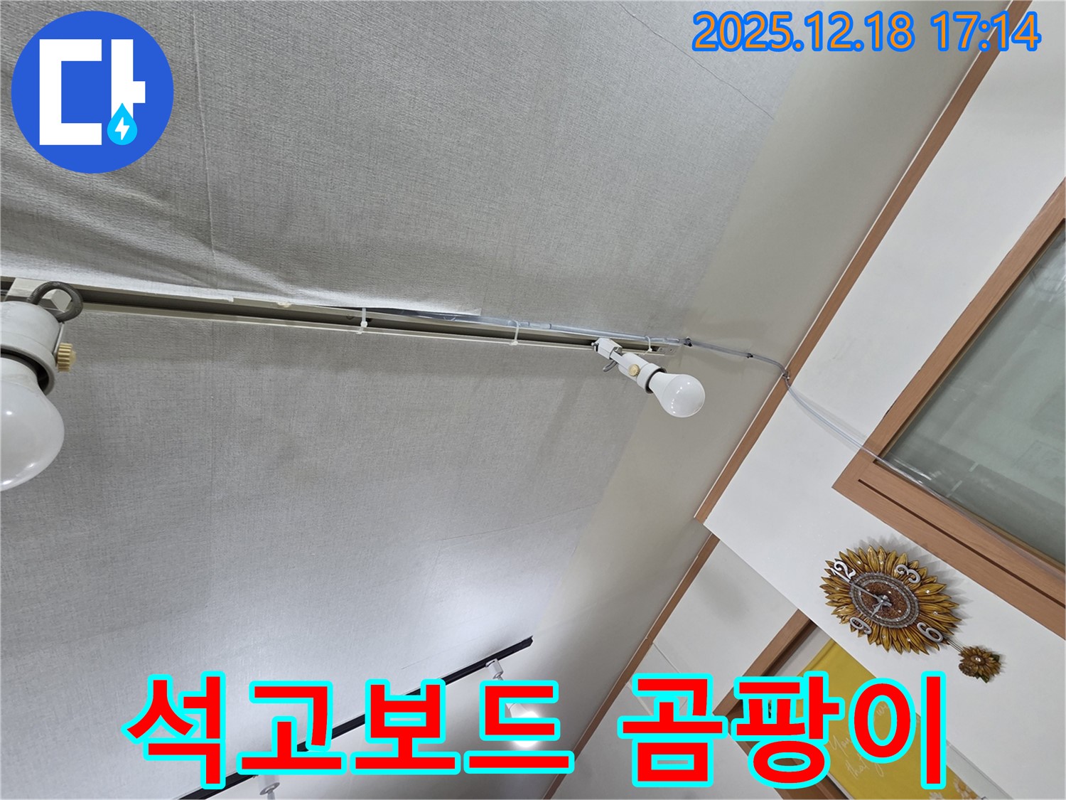 신천동 누수 - 천장 석고보드 젖음, 곰팡이 번식 주의