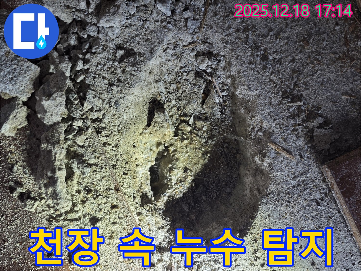 신천동 누수 - 천장 속 누수, 전문 장비로 탐지