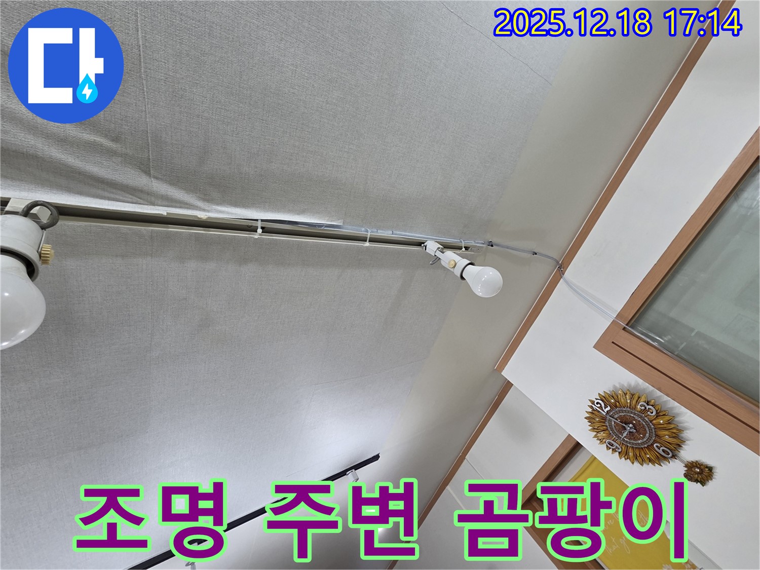 신천동 누수 - 천장 조명 주변 곰팡이, 건강 적신호