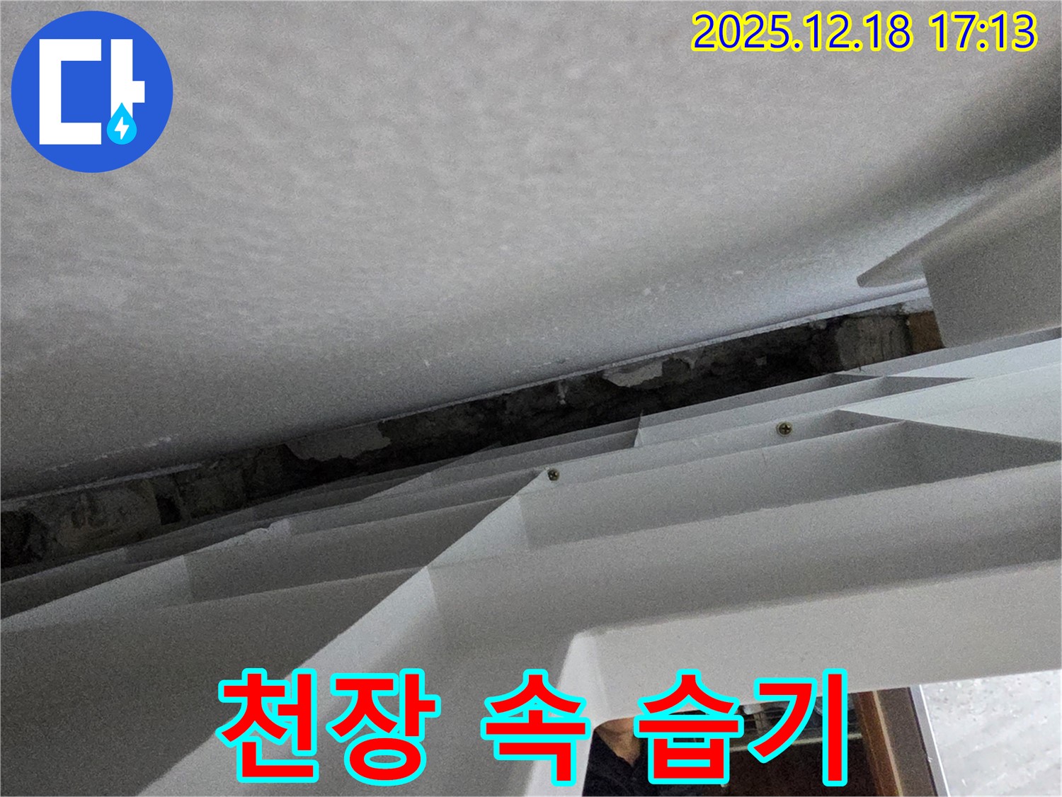 천장 속 습기 - 곰팡이 발생 조건 - 건강 위협