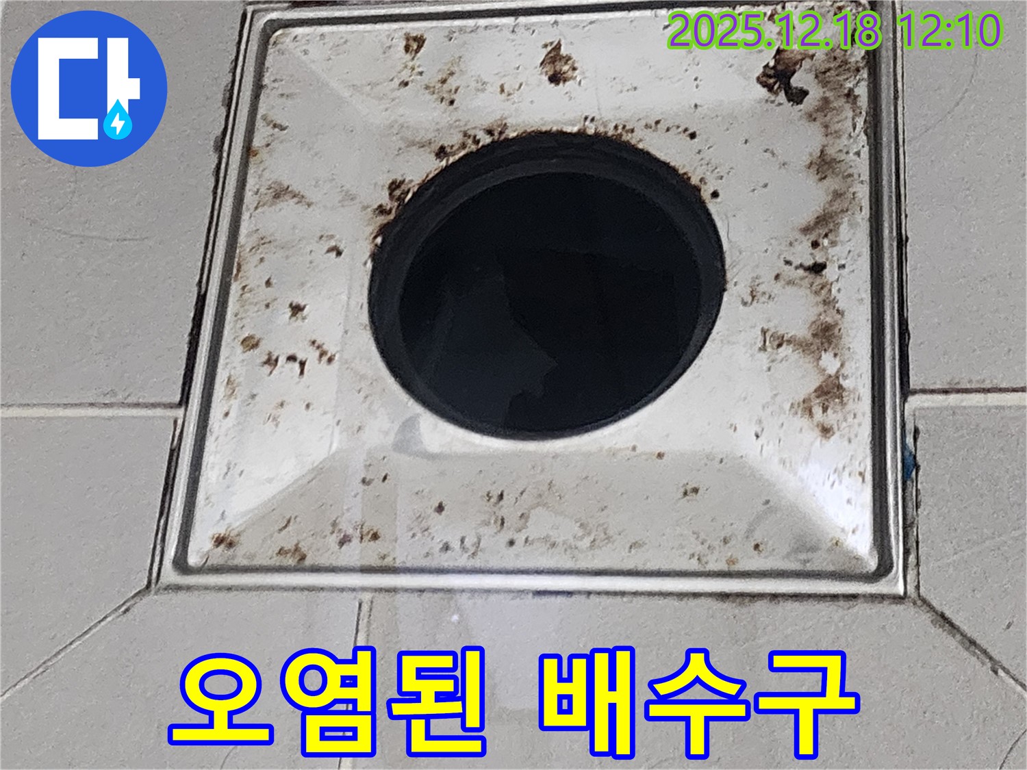 심각하게 오염된 욕실 배수구 - 포천시 영북면 가채리