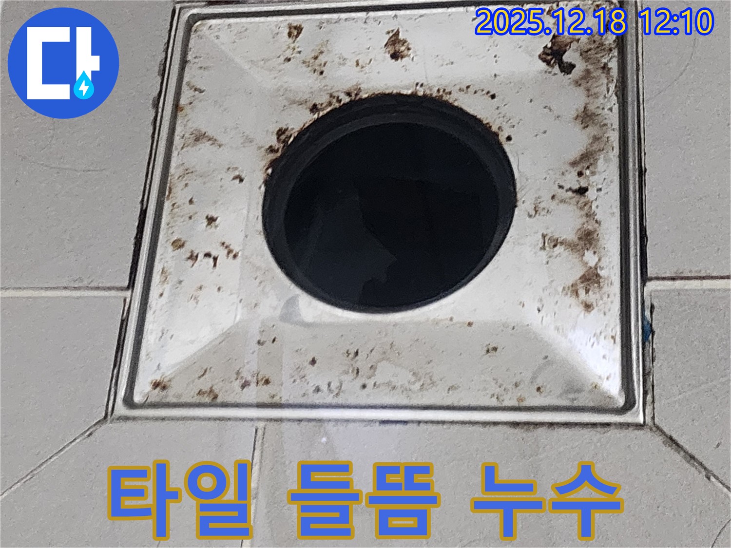 욕실 배수구 주변 타일 들뜸 - 가채리 누수