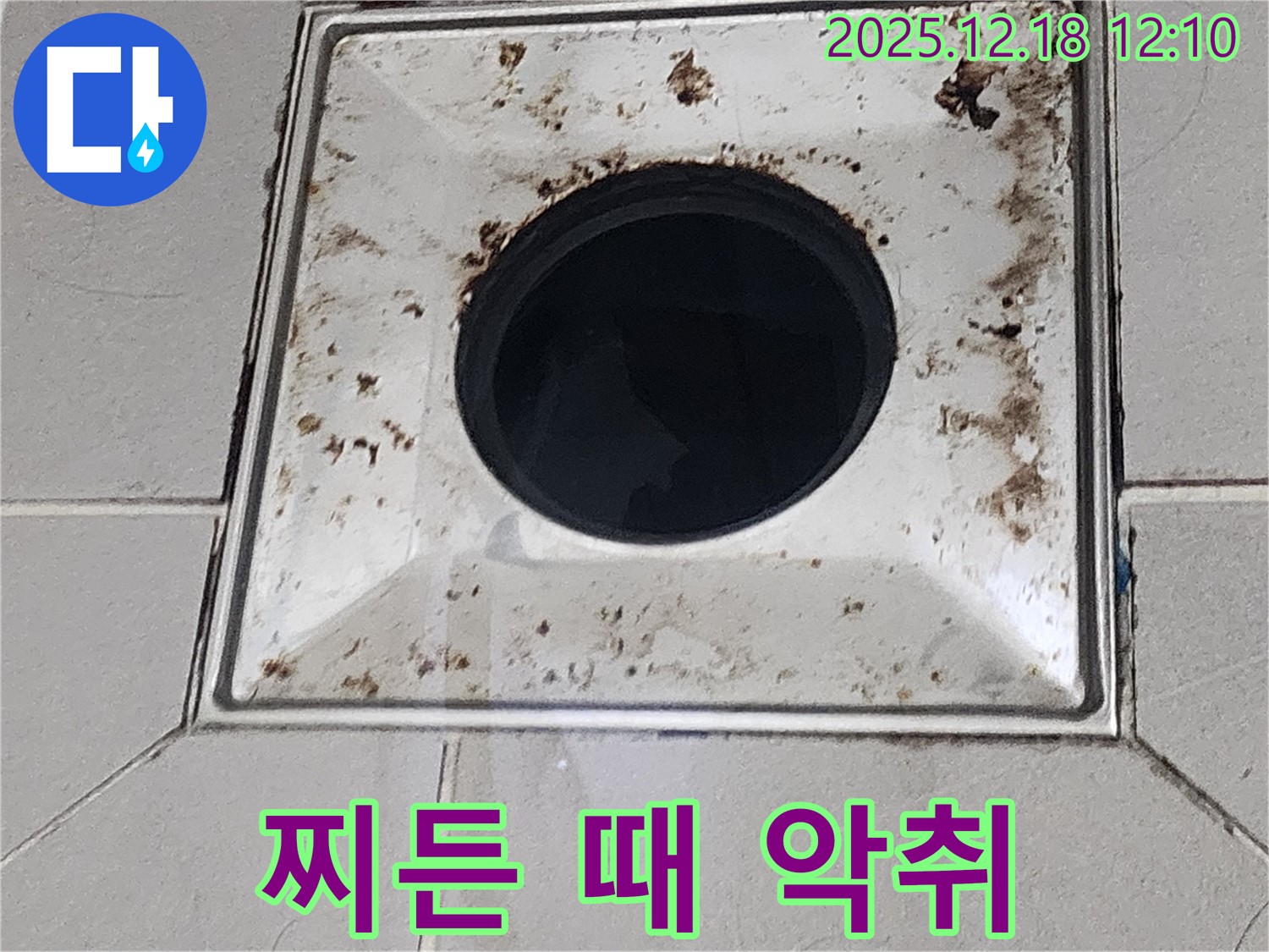 찌든 때와 악취가 심한 욕실 배수구 - 가채리 누수