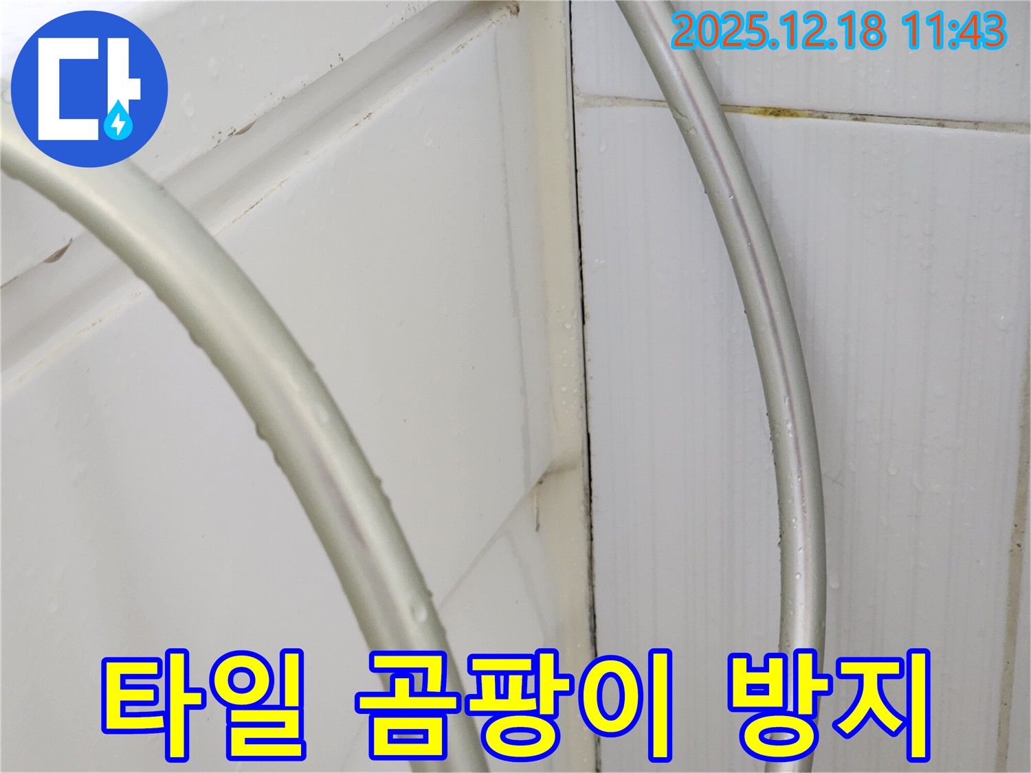 포천 영북면 욕실 곰팡이 방지 - 곰팡이 방지 실리콘 시공