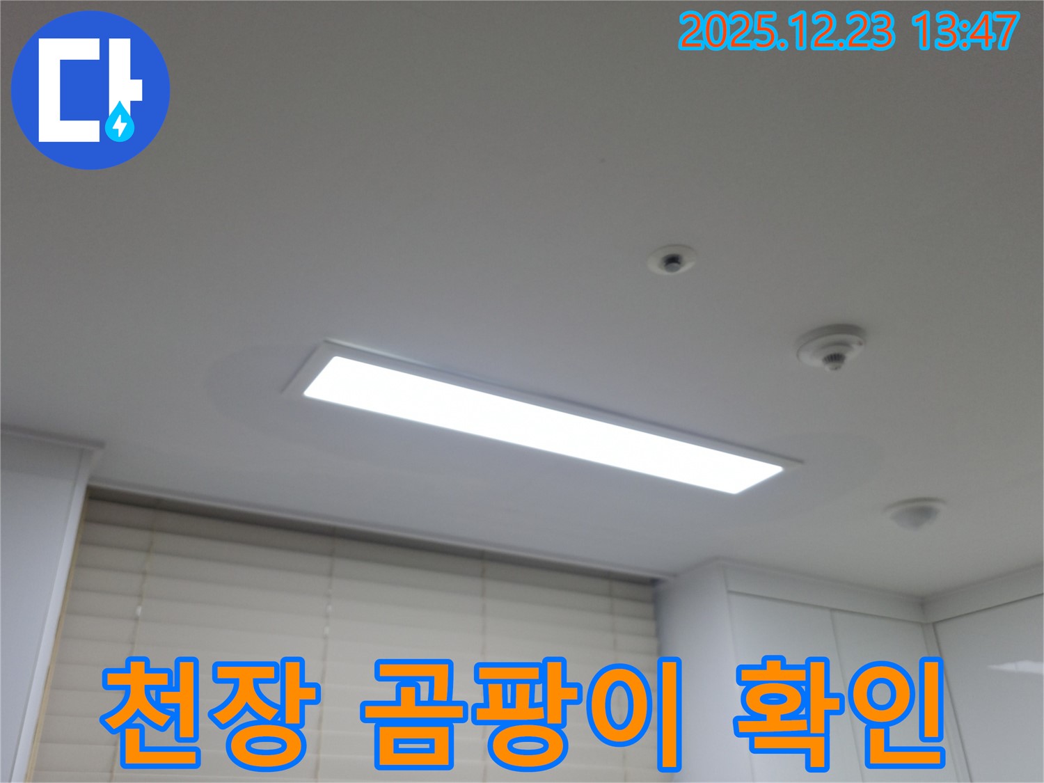 지행동 아파트 누수 - 천장 곰팡이 확인 - 전문가에게 문의