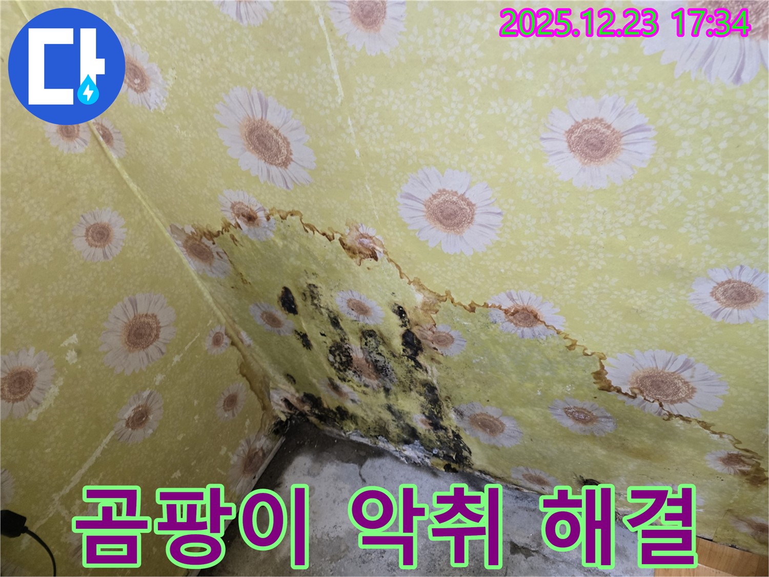 동두천 생연동 곰팡이 악취 누수 - 완벽 해결 시공으로 문제 해결