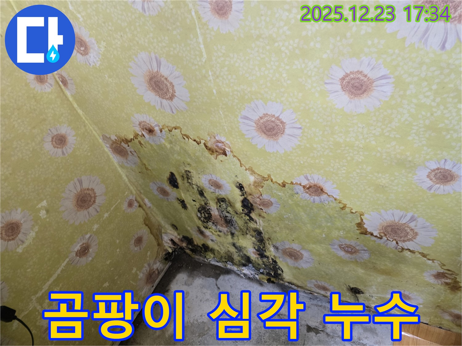 동두천 생연동 주택 누수 - 곰팡이 심각, 누수탐지 및 해결 시공