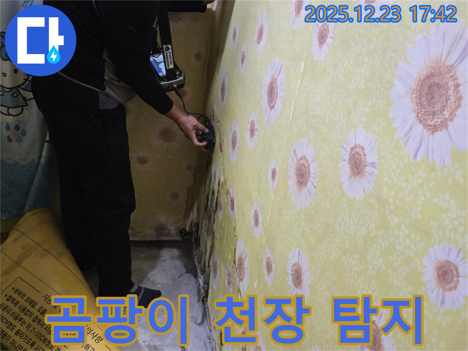 동두천 생연동 - 첨단 장비로 곰팡이 핀 천장 속 누수까지 완벽하게 탐지합니다.