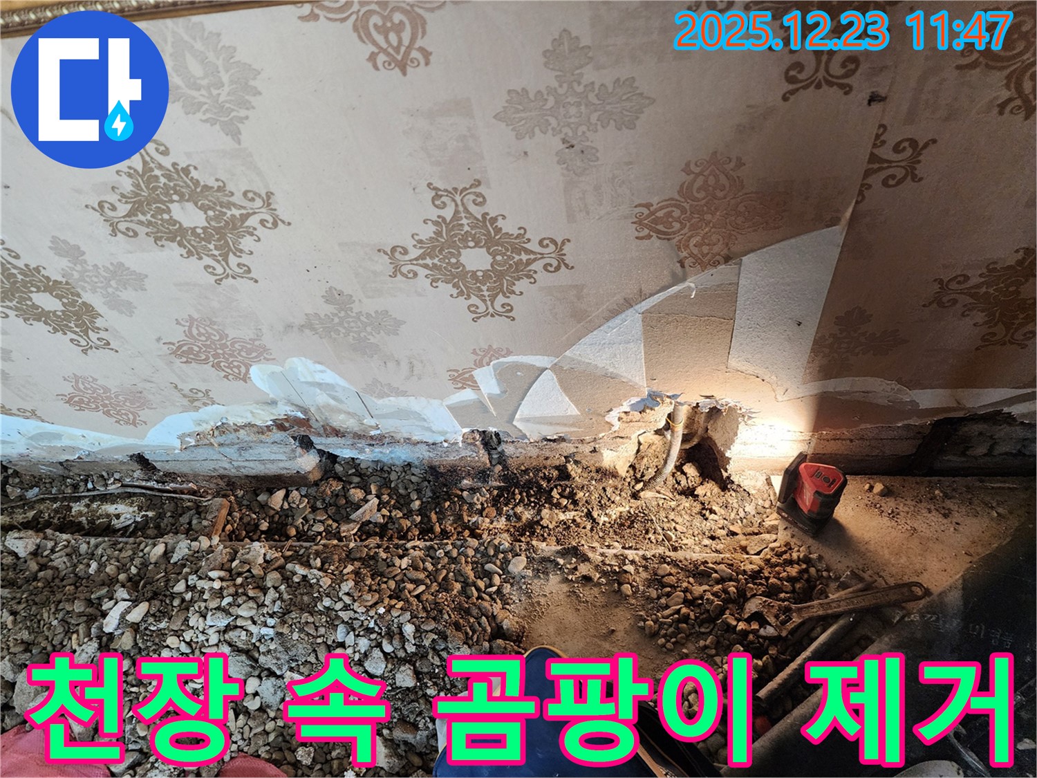 동두천 누수 - 천장 속 곰팡이 제거, 보산동 누수 원인 완벽 차단