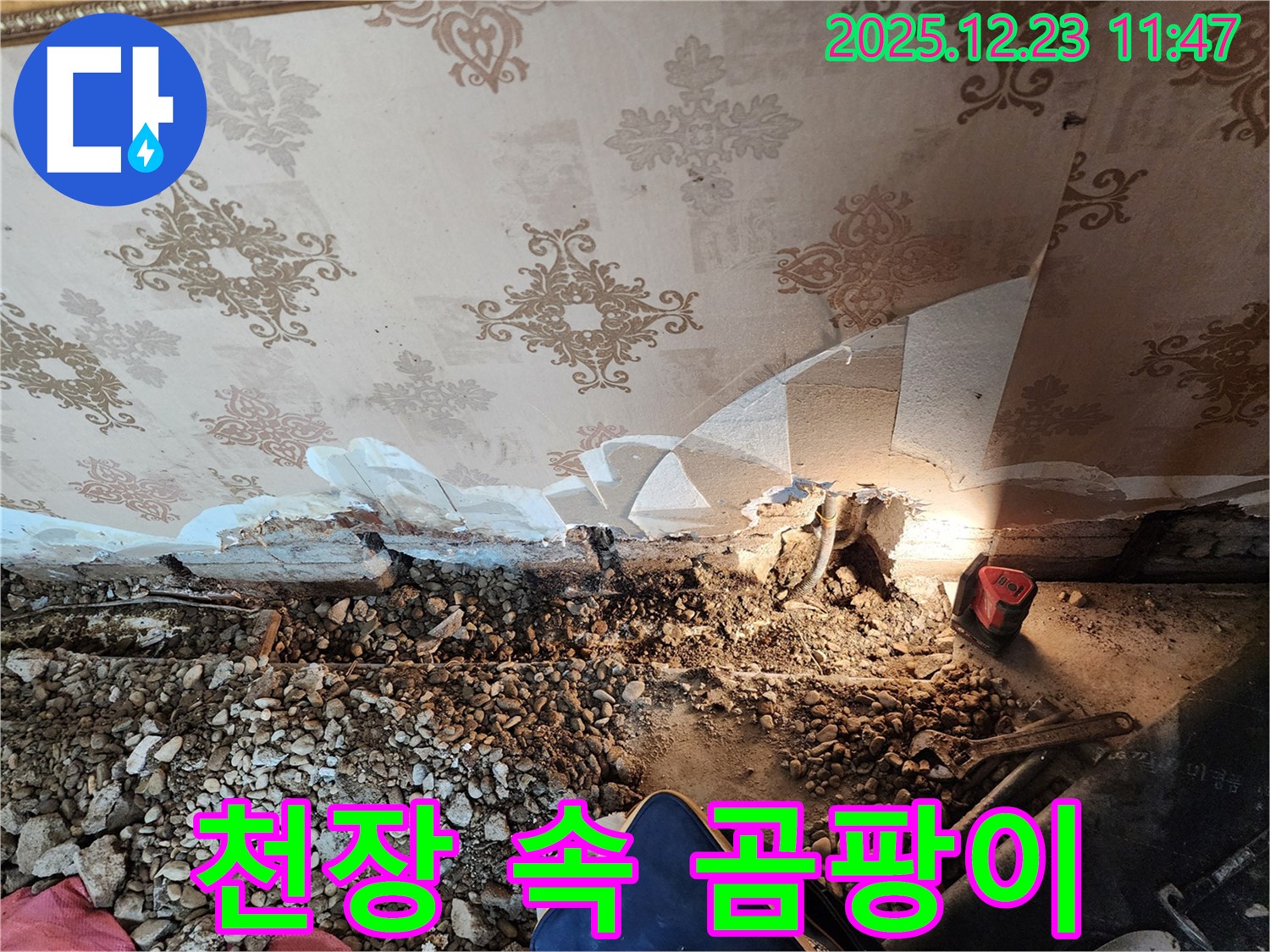 동두천 누수 - 천장 속 곰팡이와 전쟁! 보산동 누수 해결사 출동