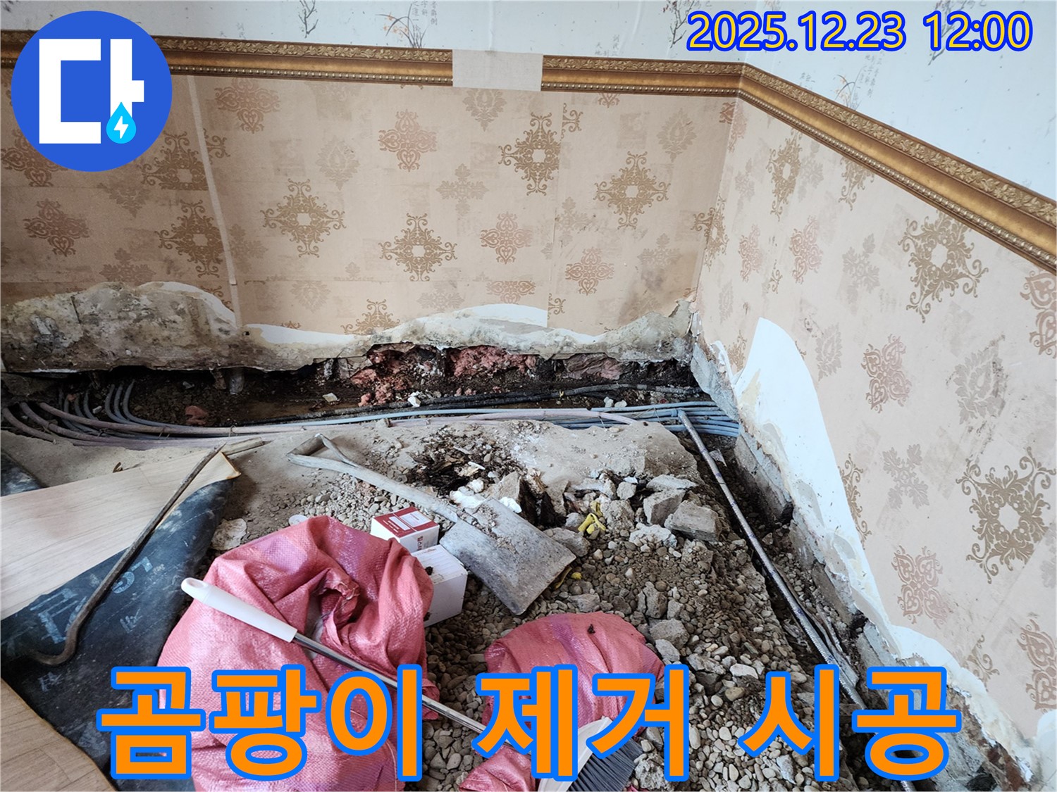동두천시 보산동 곰팡이 제거 시공 - 누수 해결과 곰팡이 제거를 한 번에!