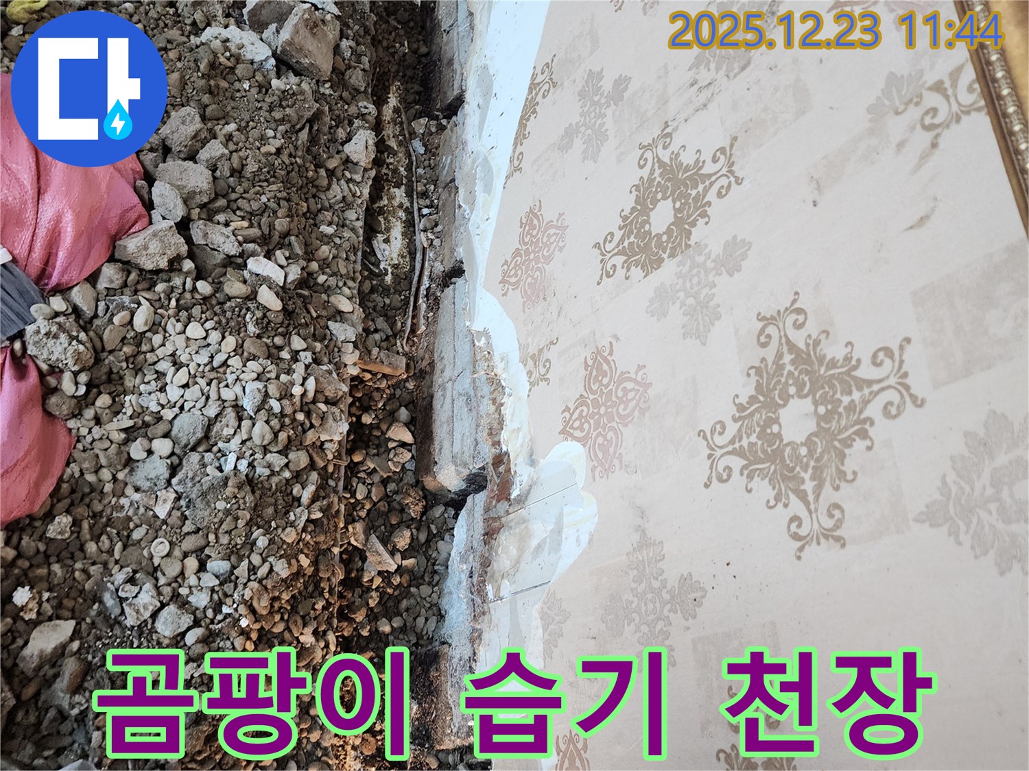 보산동 누수 - 낡은 천장재, 곰팡이와 습기로 뒤덮여 있습니다.