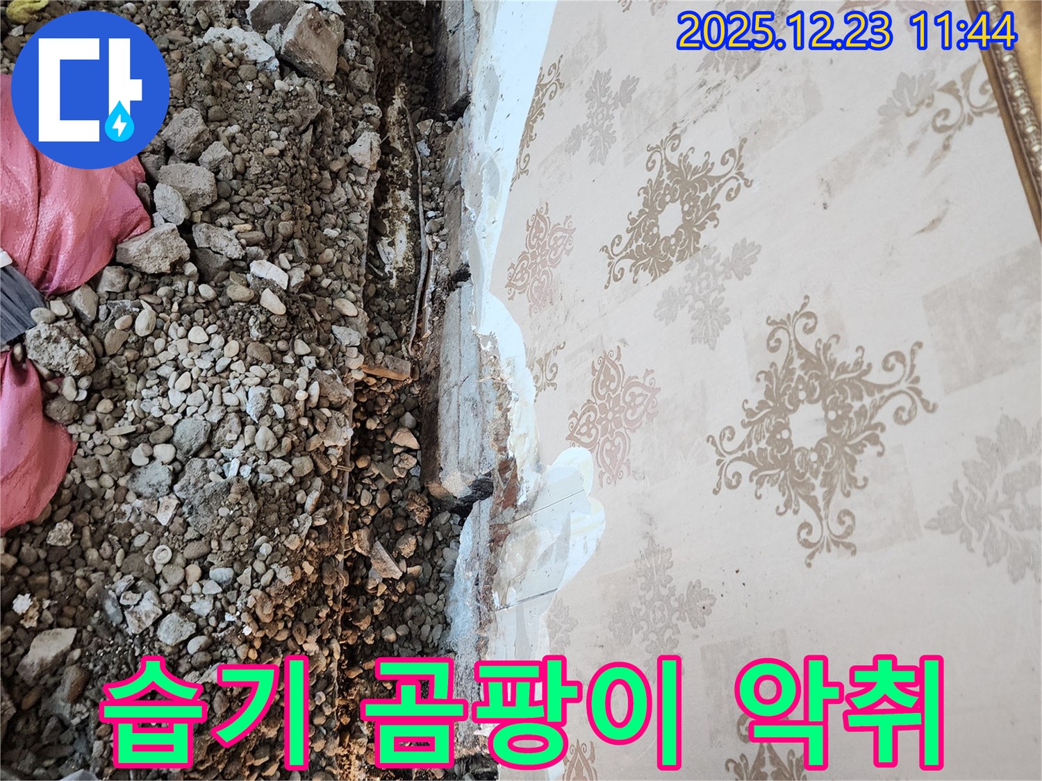 보산동 누수 - 천장 속 습기, 곰팡이 번식과 악취까지!