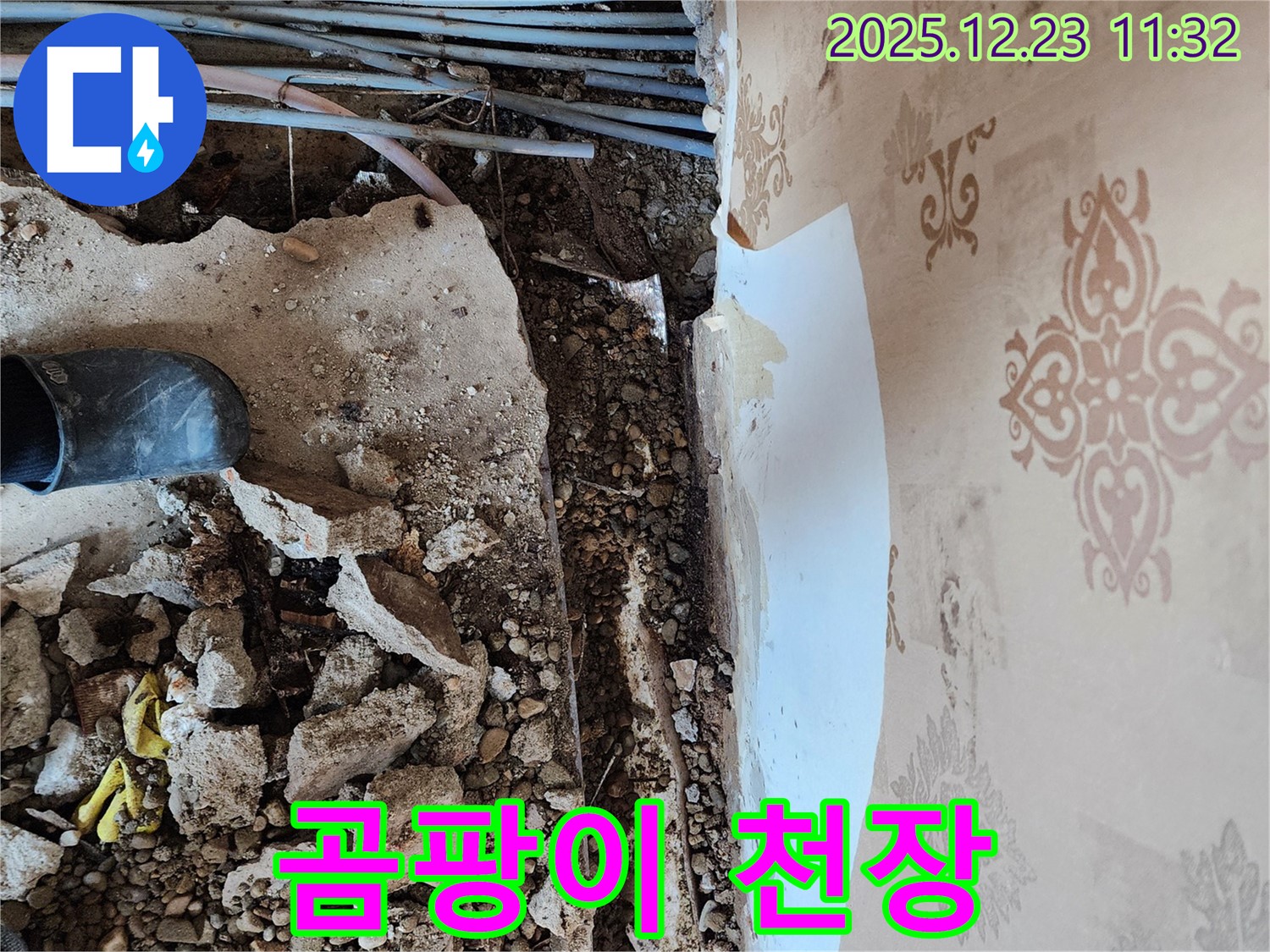 천장 누수 곰팡이 - 곰팡이가 심하게 핀 천장이 건강을 위협하고 있습니다.