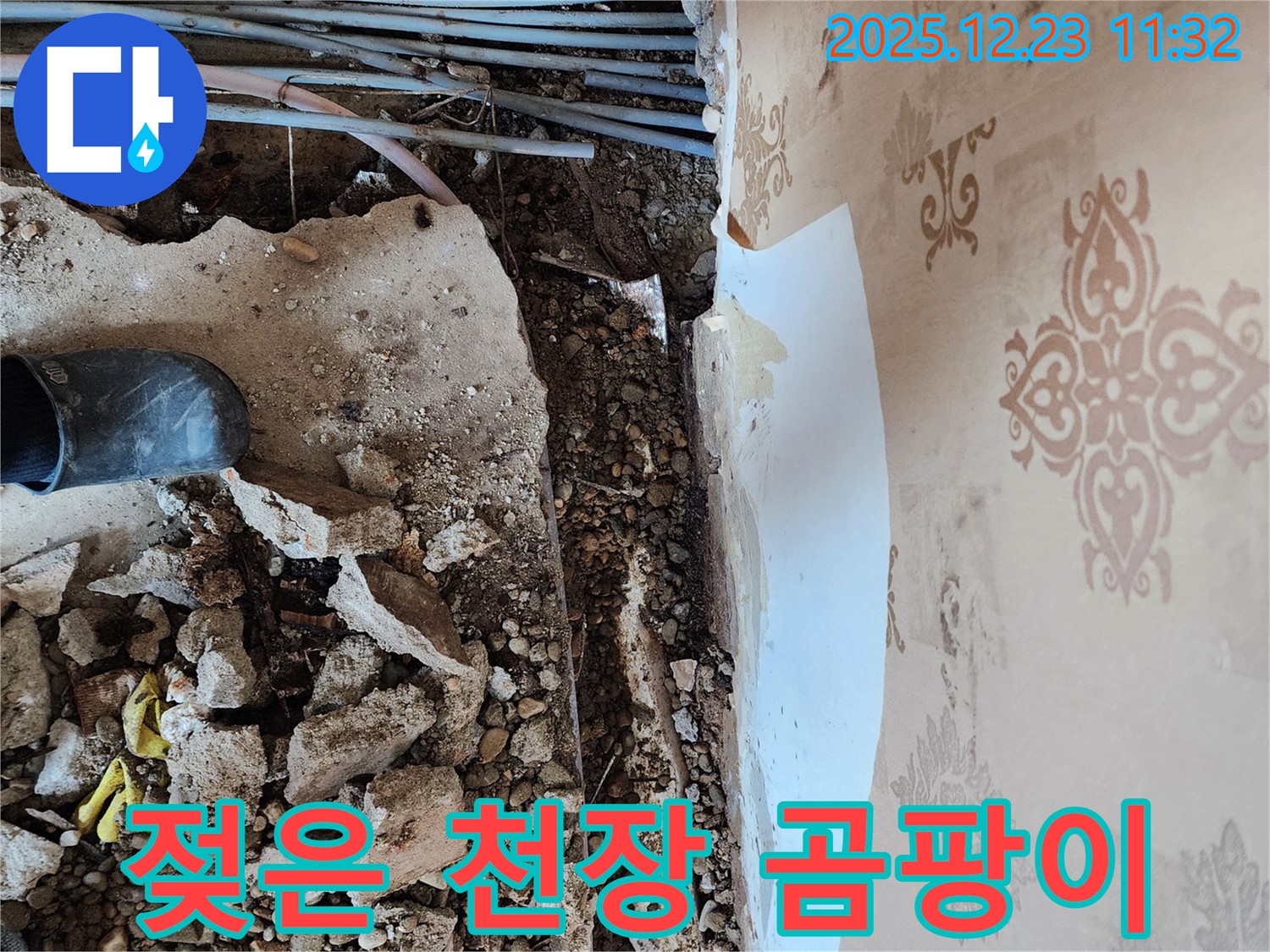 천장 누수 현장 - 젖은 천장에 곰팡이가 발생하여 건강을 위협하고 있습니다.