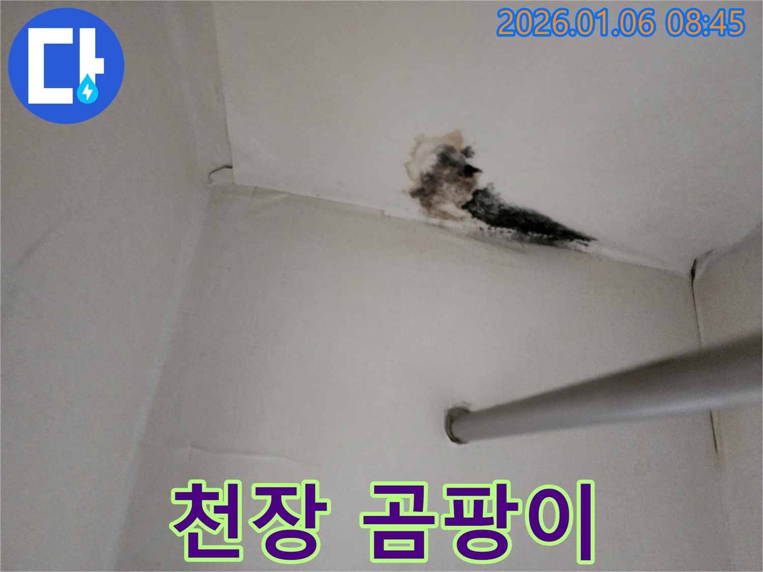 고암동 옷장 천장 누수 - 곰팡이로 뒤덮인 천장
