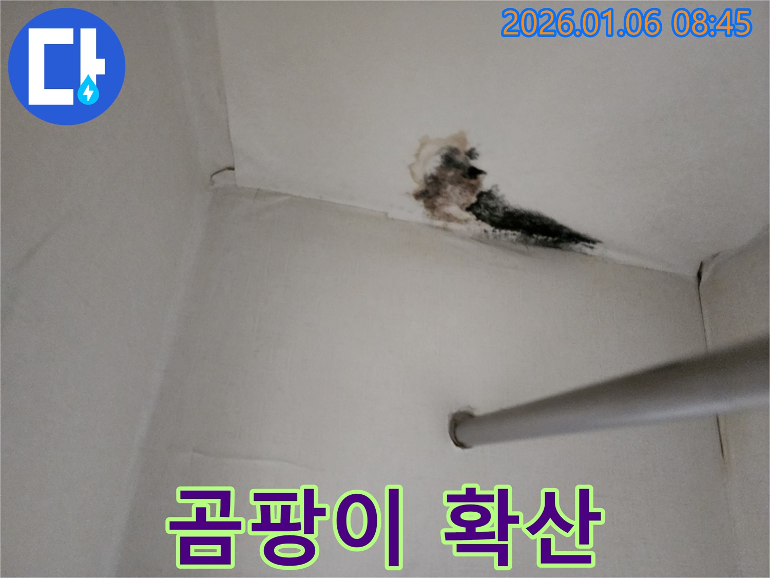 양주시 옷장 천장 누수 - 곰팡이가 넓게 퍼져있는 모습
