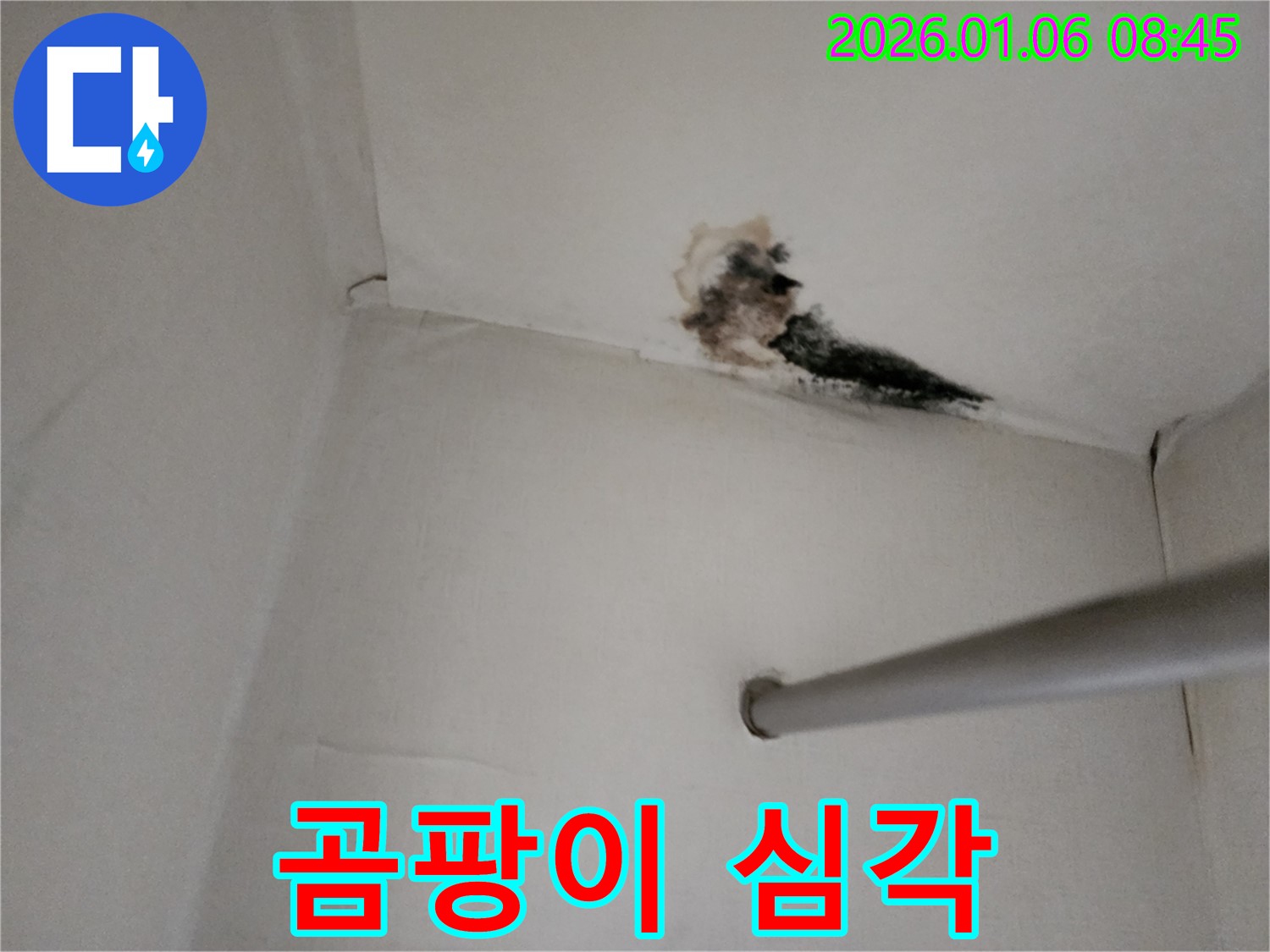 양주시 옷장 천장 누수 - 곰팡이가 심하게 발생한 천장