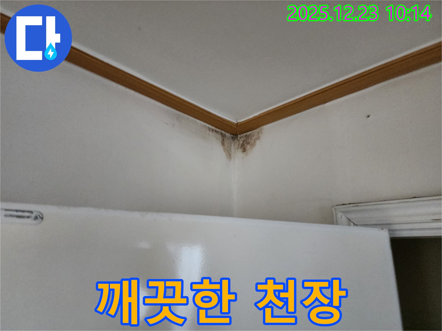 천장 곰팡이 - 깨끗한 천장을 만들어 드립니다.