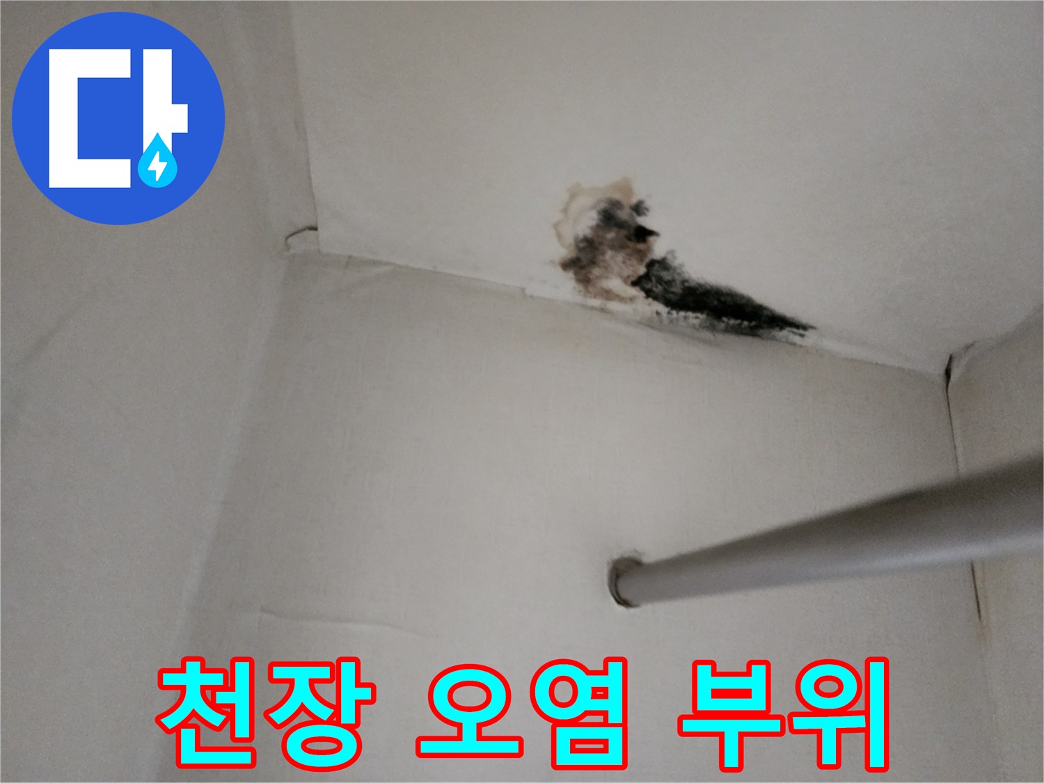 천장 모서리 부분의 곰팡이 발생 및 누수 자국