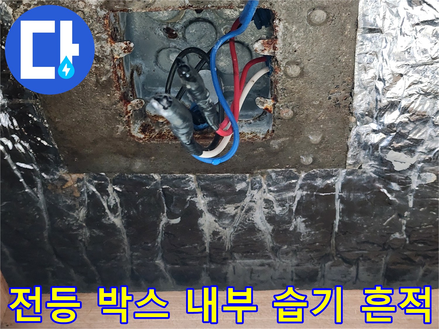 습기가 스며든 천장 매립 배선함의 상세 모습