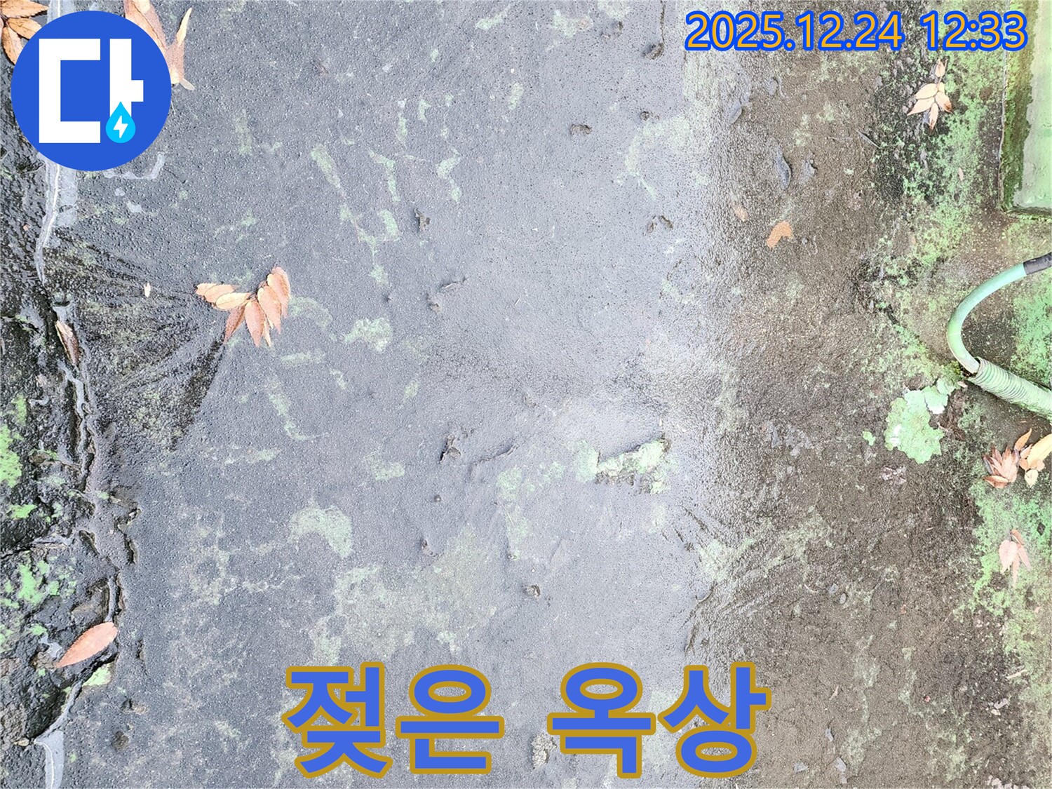 빗물에 젖은 옥상 - 누수 발생 신호