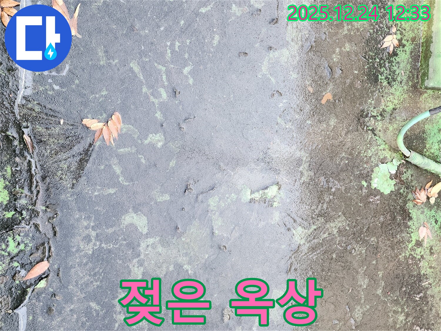 빗물에 젖은 옥상 - 누수 발생 신호