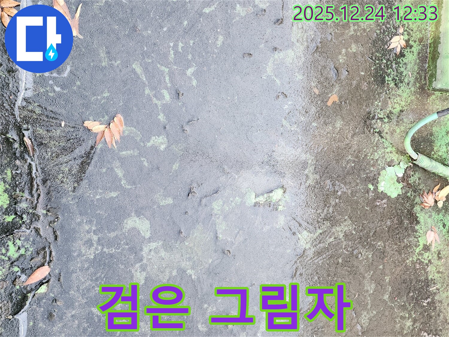 옥상 검은 그림자 - 곰팡이 발생 위험