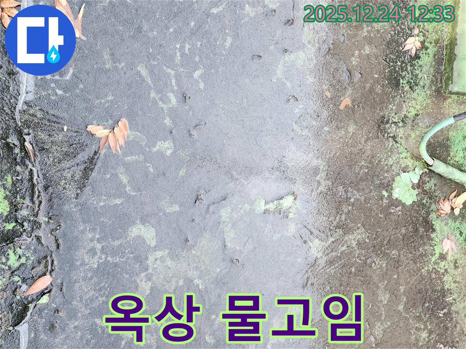 옥상 물고임 - 심각한 누수 위험 신호