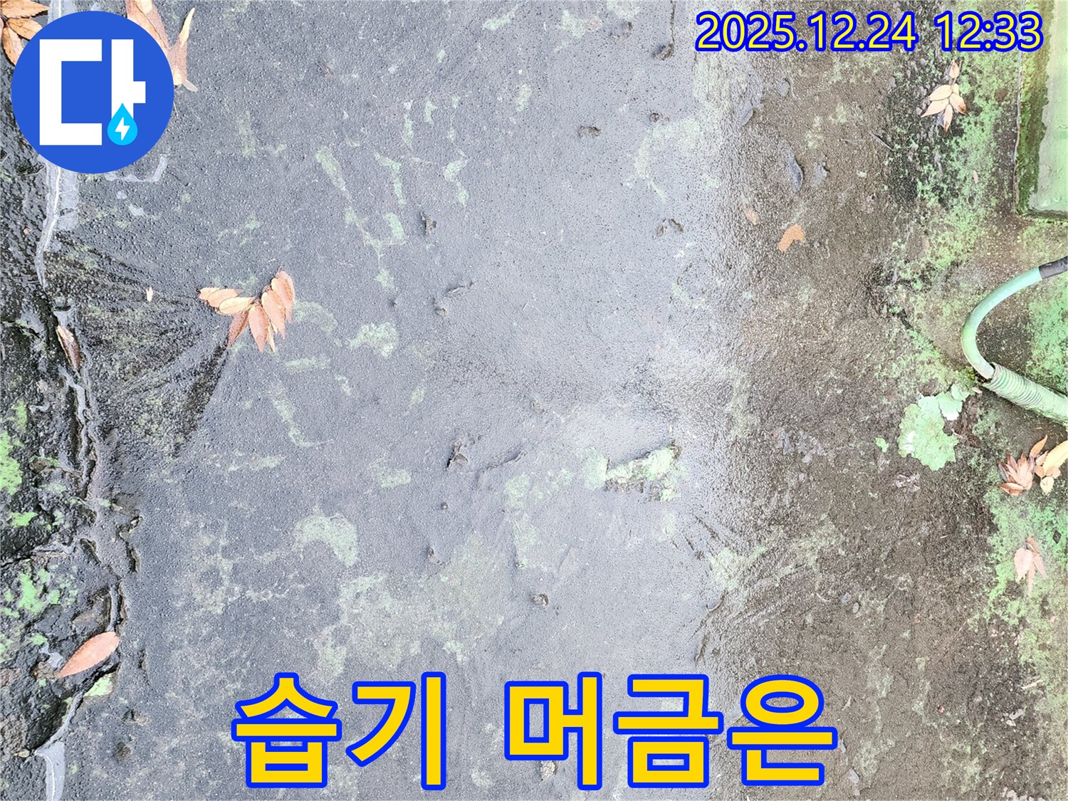 옥상 습기 - 누수 진행 중 증거