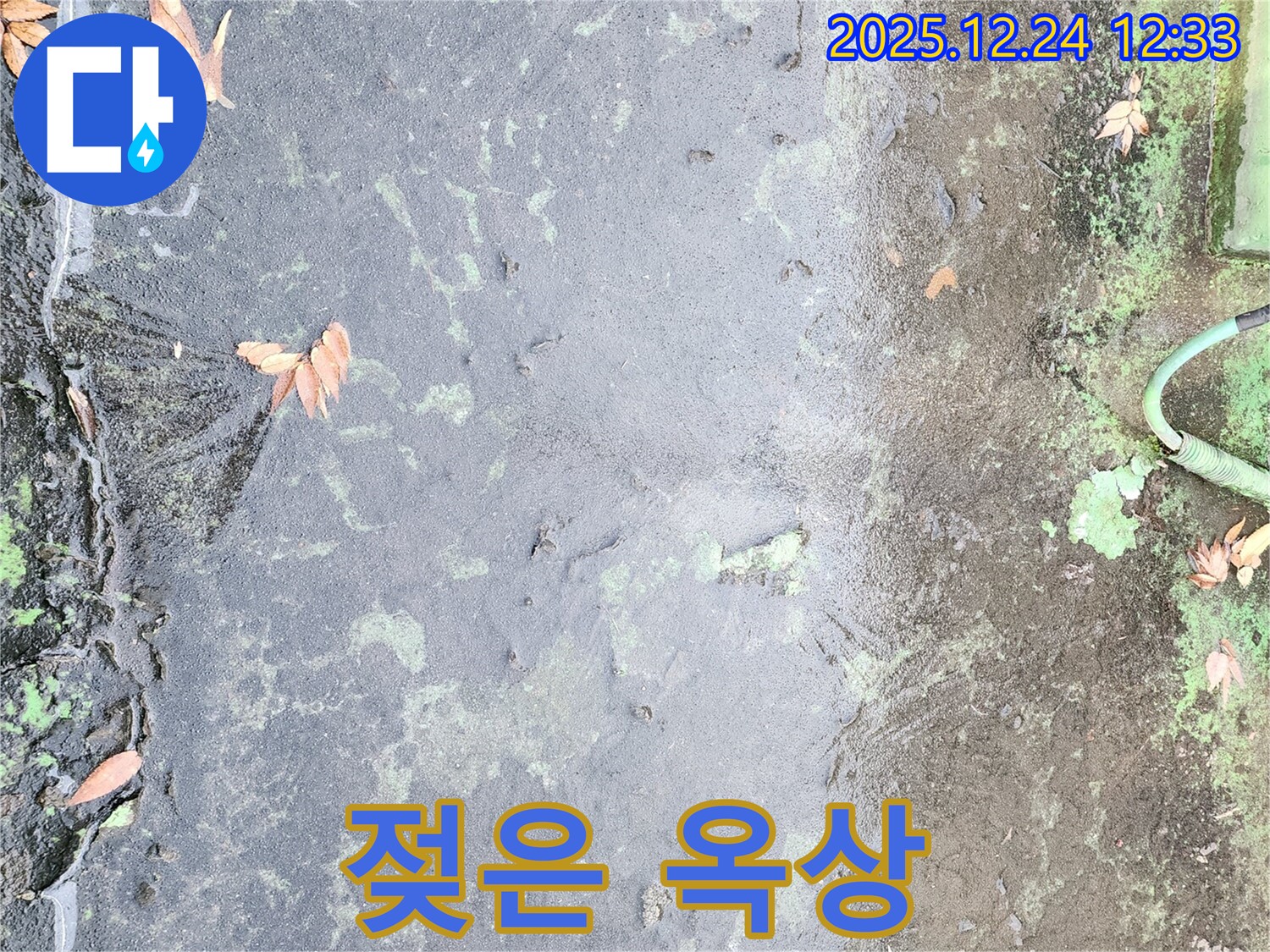 젖은 옥상 - 누수 발생