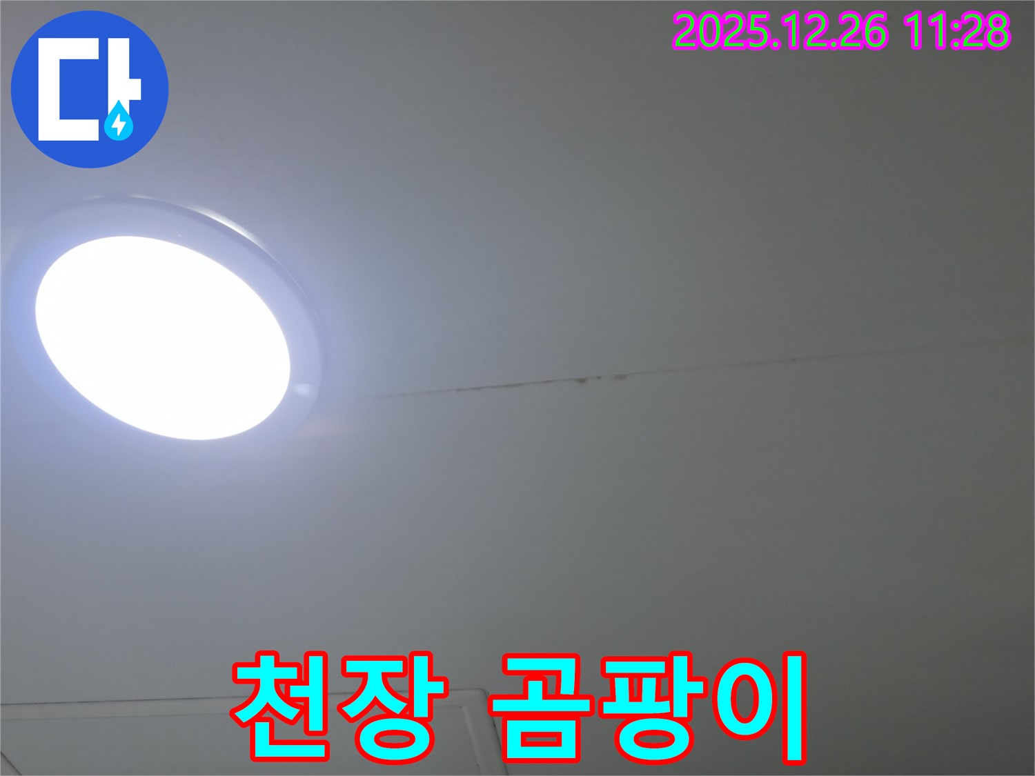 천장 곰팡이 - 초기 누수 발견의 중요성