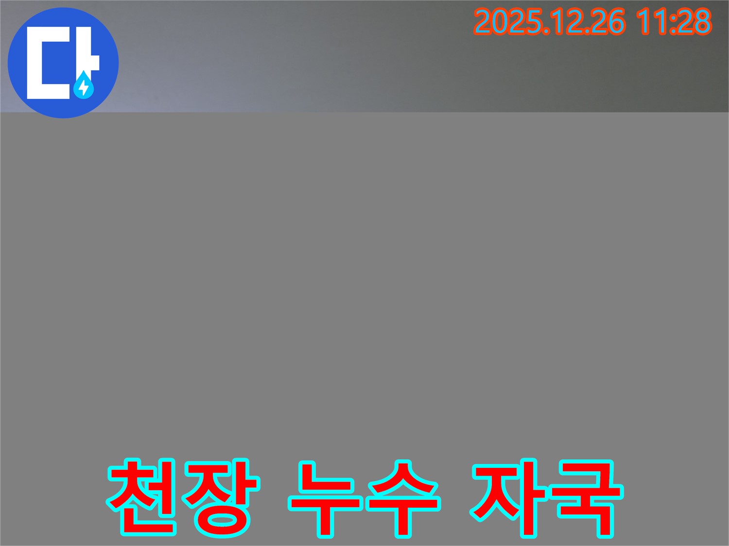 천장 누수 자국 - 누수 위치 정밀 진단