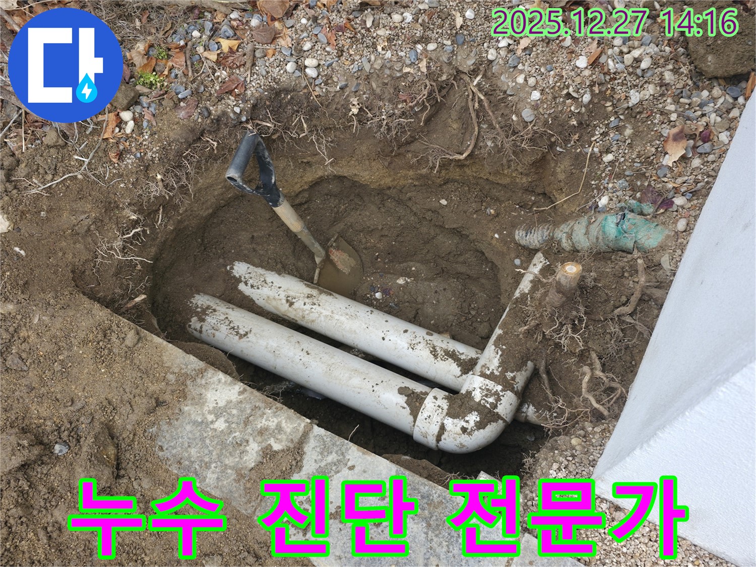 분당구 서판교 누수 현장 - 누수 탐지 전문가가 정확한 진단을 내리는 모습입니다.