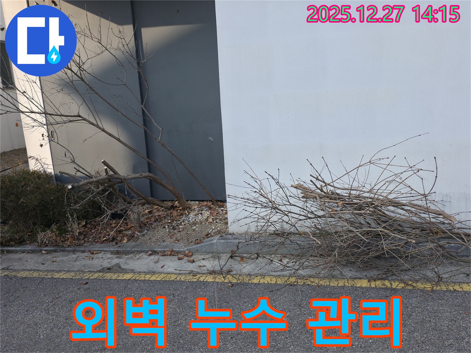 외벽 주변 나뭇가지 - 누수 관리 필수