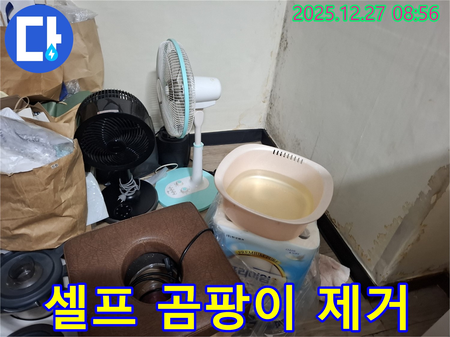 삼전동 누수 현장 - 곰팡이, 혼자서 제거해도 될까요? - 전문가의 조언을 구하세요.