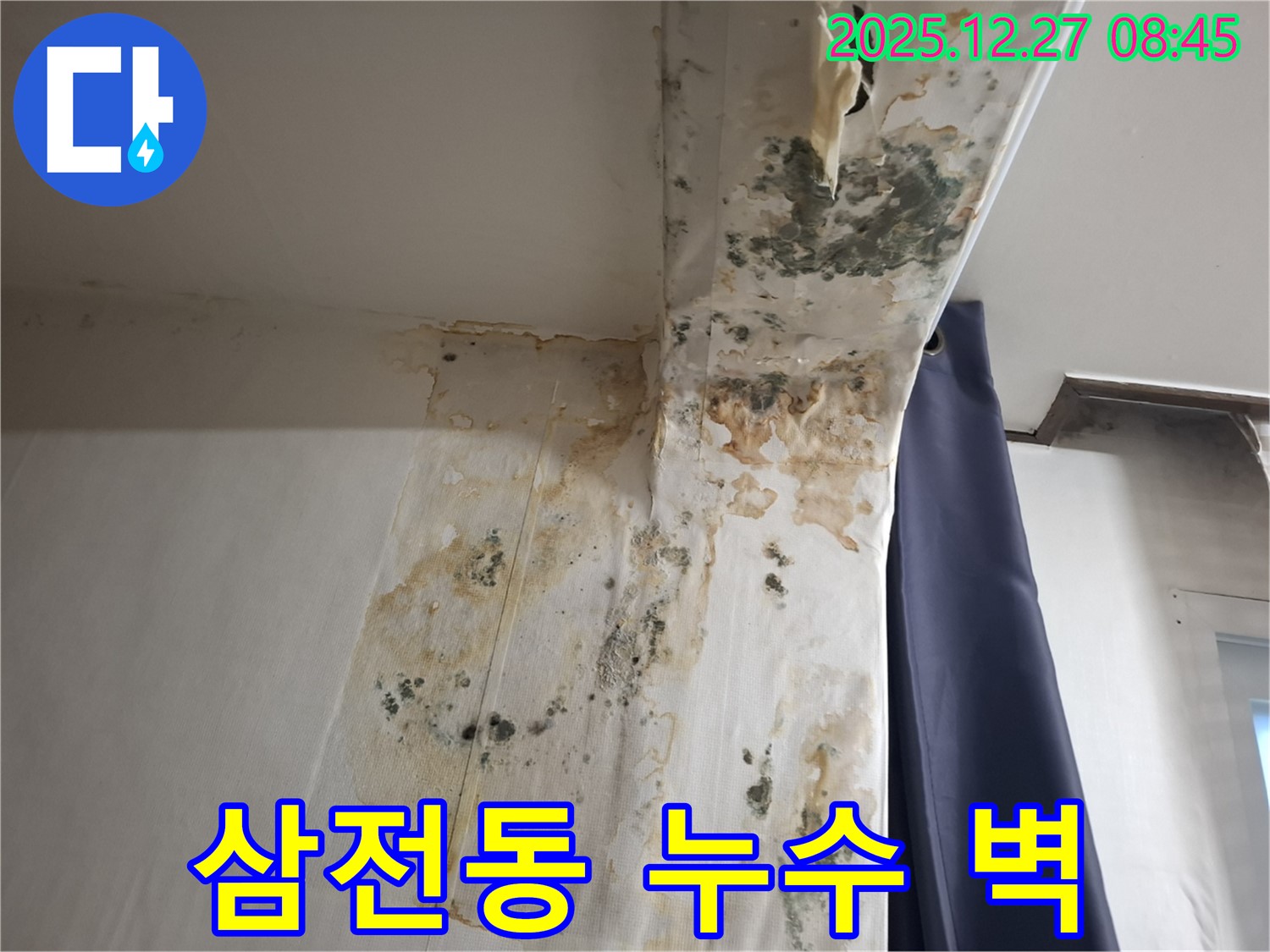 삼전동 누수 현장 - 벽 곰팡이 제거 및 방지 시공, 누수탐지 전문가의 꼼꼼한 시공